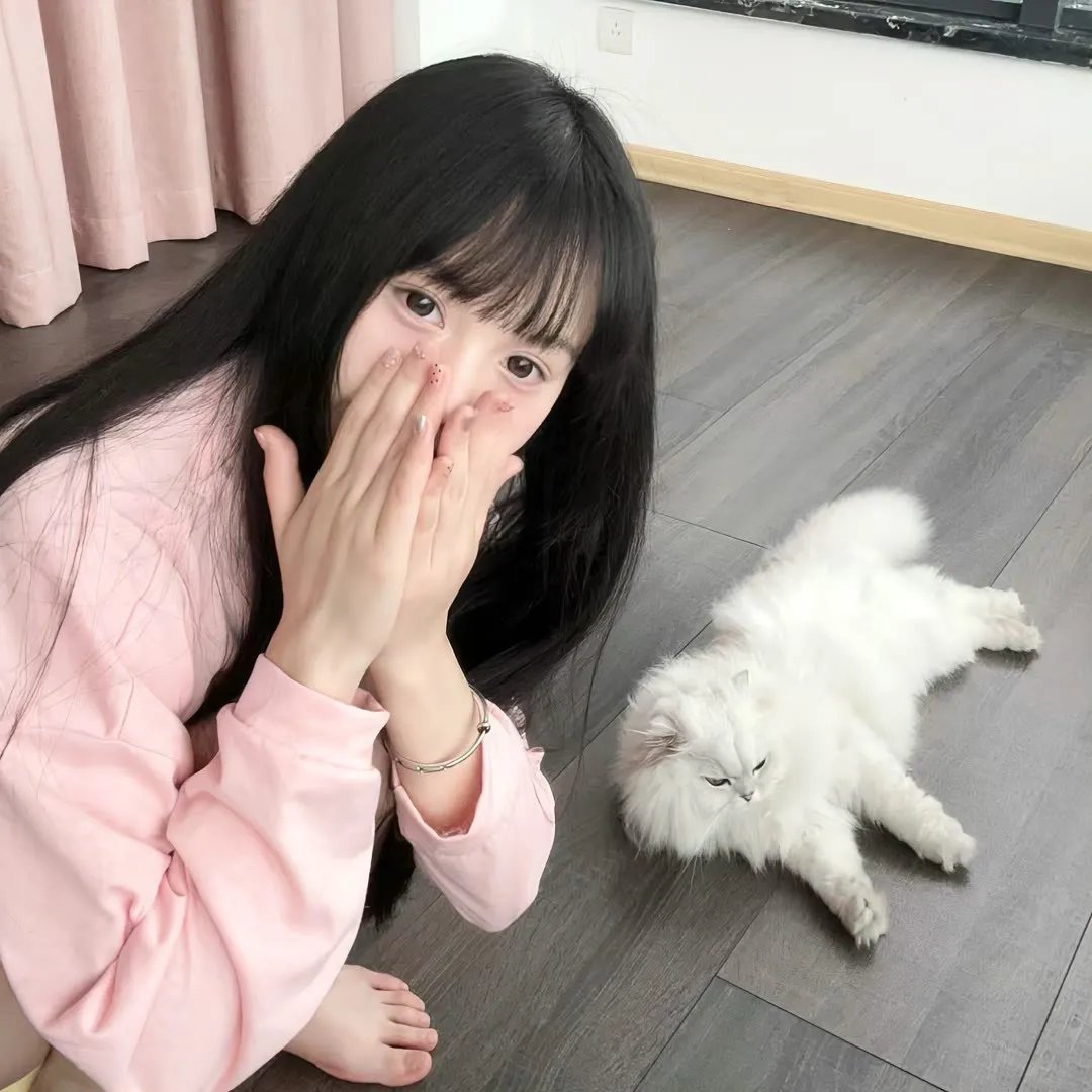 反贪腐